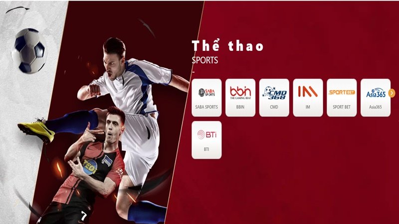Cá độ Thể Thao