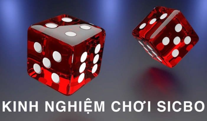 Tại sao các bet thủ nên học hỏi nhiều kinh nghiệm chơi sicbo?