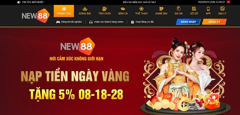 Website New88 